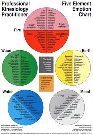 Five Element Emotion Chart Health Emotions Essential