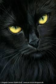 Black Cat By Angela Carmen Griehl Gross If You Like Black Cats Visit This Talented Artists Web Site Where She Shows Man Black Cat Painting Black Cat Art Cats