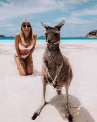 Ellie Bullen Plant Based On Instagram G Day Mate Welcome To The Land Down Under Kangaroos On The Beach Australia Beach Beautiful Beach Pictures Animals