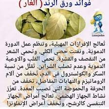 ورق الغار فوايد Health Facts Fitness Organic Health Health Fitness Nutrition