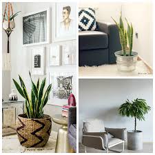 Check spelling or type a new query. Deco Con Plantas De Interior Decoracion
