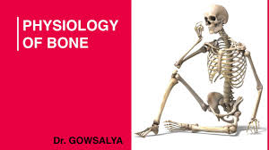 Physiology Of Bones Physiology Human Anatomy General Medicine Youtube