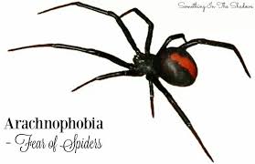 Black And White Spider Texas Poisonous Pin By Pete Madrigal On Cool Horror Stuff Australian Spider Spider Tattoo Redback Spider