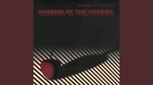Image result for Black Cherry 1992 Shadow