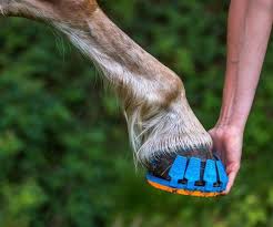 Clippable Shock Absorbing Horse Shoes Horse Accessories Horse Clipping Horses