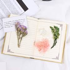 1pack Real Dried Flowers Pressed Natural Plants Herbarium Mixed Dry Bouquets Leaves For Resin Craft Jewelry Gift Making Beauty Supplies Home Diy Painting Photo Album Decor Walmart Canada