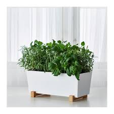 Bittergurka Ubertopf Weiss Ikea Deutschland Vasos De Ervas Vasos De Plantas Plantas No Banheiro