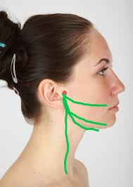 I was diagnosed with strep throat yesterday after a long battle over the  weekend. The infection started