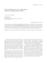 Image result for Platysepalum