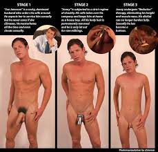 Shrinking Chastity Caption Bobs And Vagene