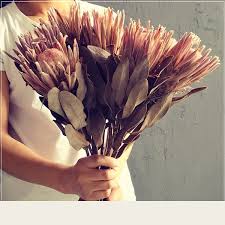 Perhaps the hanging dried flower idea actually really appealed to you and your home is a totally safe place to make something like then we definitely think you should take a look at the way tattooed martha made some simply pretty canvas wall art by arranging and gluing. Dried Flower Decor Apollobox