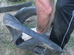 Tips penjagaan tayar kereta melibatkan alignment, balancing dan rotation yang merupakan perkara penting yang harus kita ambil perhatian semasa kita menggunakn kereta sama ada kereta digunakan. Hiasan Cantik Untuk Taman Anda Angsa Dari Tayar Kereta