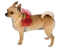 Devil Wings Dog Cat Pet Costume Pet Costume Center