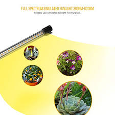 Succulents can grow using the grow lights instead of sunlight. Led Grow Light For Indoor Plant Fauna Auto On Off Timer Full Spectrum Plant Lights 3 6 12h Timing 5 Dimmable Levels For House Garden Hydroponics Succulent Growing Pricepulse