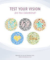 Some affect men more than women. Colorblindness There S More Than Meets The Eye Ocli