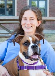 For example, if there has been a fire nearby, the dog will likely be coughing due to the smoke. What Causes Coughing In Dogs Mspca Angell