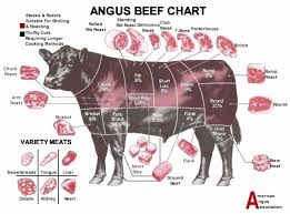 The American Cowboy Chronicles Cattle Diagrams Retail