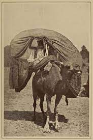 In rebuildables, throat hit is decided by the position of the coil in relation to the airflow. The Project Gutenberg Ebook Of Zigzag Journeys In The Camel Country By Samuel M Zwemer And Amy E Zwemer