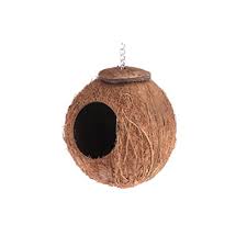 Work with great care and with patience, to prevent mistakes or other issues. Coconut Shell Bird House With Side One Hole Buy Bird House Wood House Bird Bird House Diy Indoor Bird House Coconut Shell Bird House Bird House Price Decorative Bird Hosue Coconut Shell