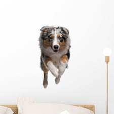 The style you choose depends on the theme of your overall bathroom, as well as who is going to be using the. Latitude Run Australian Shepherd Dog Peel And Stick Graphic Wall Decal Wayfair