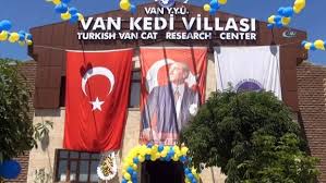 Turkiye Nin Ilk Kedi Havuzu Van Da Acildi