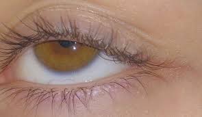 Eye Eyes Aesthetic Tumblr Eyeroll Browneyes Brown Pretty Brown Eyes Aesthetic Eyes Brown Eyes Aesthetic
