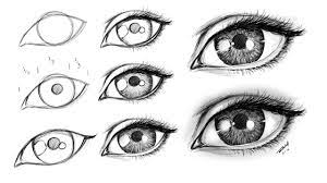 How To Draw An Female Eye Step By Step | Eye Drawing, Figure Drawing, Step  By Step Drawing