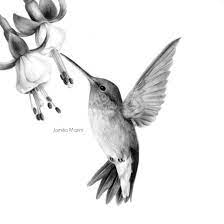 Hummingbird Tattoo Black Hummingbird Tattoo Hummingbird Art