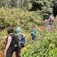 Nature on the Edge: Tunnel Tops to Ferry Building event image