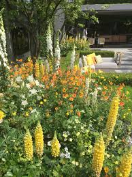 Pin By Carrie Dubberley On Garden Ideas Backyard Flowers Garden Flower Garden Borders Cottage Garden Design
