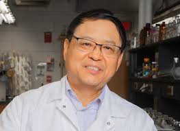 Creative Research & Scholarship Awards