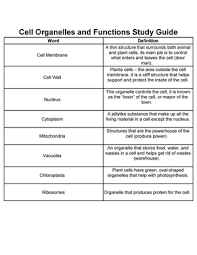 Check spelling or type a new query. Cell Organelles And Functions Study Guide Cell Wall Plants Cells The Area Outside The Cell Studocu