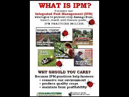 Examples include cultivation of alternate hosts. Integrated Pest Management Understanding Ipm Warm Up What
