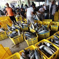 Berikut ini ada 9 jenis yang sering dimakan oleh masyarakat indonesia. Jenis Ikan Laut Yang Bisa Dikonsumsi Enak Dan Menyehatkan Citizen6 Liputan6 Com