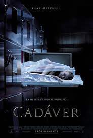 Ver Hd Online The Possession Of Hannah Grace P E L I C U L A Completa Espanol Latino Hd 1080p Ultrapelic Free Movies Online Full Movies Full Movies Online
