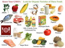 Genetically modified foods refer to foods that have undergone modification to enhance specific traits with the primary purpose of making them also study: Genetically Modified Food Blog In2english