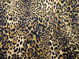 Vinyl faux fake leather pleather embossed zebra fabric. Buy Allover Animal Cotton Print Leopard At Dalston Mill Fabrics