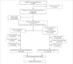 Flow Chart Of Patient Recruitment In The Virsta Case Control