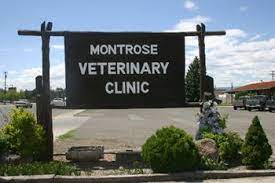 Montrose Veterinary Clinic Veterinary Clinic Veterinary Clinic