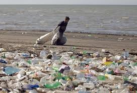 World Day Of Social Justice 2015 Europe S Hidden Problem Of Child Labour