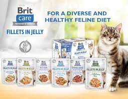 We did not find results for: Sales Of Food For Dogs And Cats Brit
