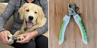 The Best Dog Nail Clippers in 2025, Tested and Reviewed