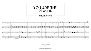 Calum Scott You Are The Reason Sheet Music Pin On Sheet Music