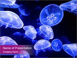 Pink and blue sea jelly on blue background. Jellyfish Powerpoint Template Smiletemplates Com