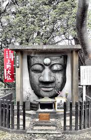 Buddha in the Robot. Meditations