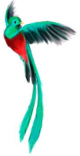 10 mejores imagenes de watercolor el quetzal ave nacional de guatemala tatuaje de quetzal quetzal ave nacional de guatemala