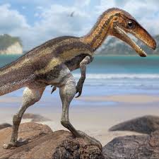 ¿qué hace que un dinosaurio sea un dinosaurio? Dinosaurios Noticias Fotos Y Nuevos Fosiles