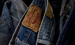 Image result for Sutera levis