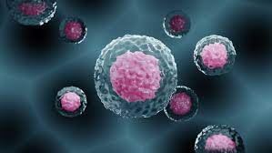 Pkd1 expression in the mouse embryo. 3d Rendered Animation Illustration Of Stock Footage Video 100 Royalty Free 1045180819 Shutterstock