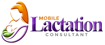 Lactation Consultant Ipad Software No More Paper Charting